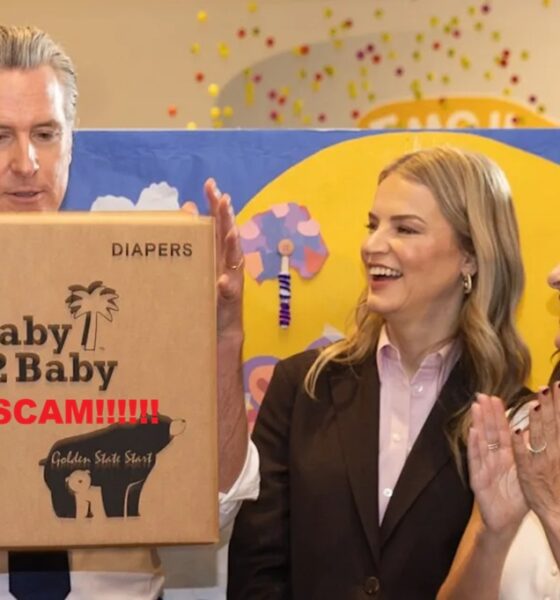 Gavin Newsom's $20 Million Diaper Scam