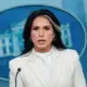 Tulsi Gabbard Reveal Massive Global Biolab Network Linked to U.S. Funding
