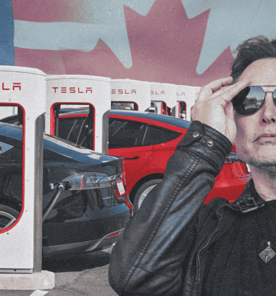 Tesla Halts Model 3 Orders in Canada