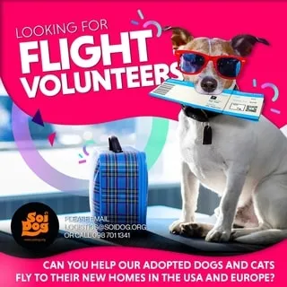 Flight Volunteers Wanted